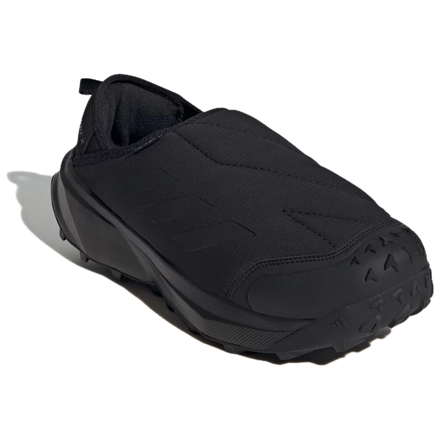 Adidas Terrex Winter Lowtop Black