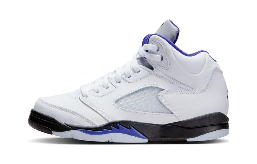 Jordan 5 Retro Dark Concord PS