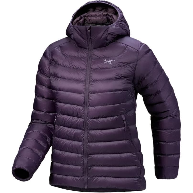 Arc'teryx CERIUM Down Jacket