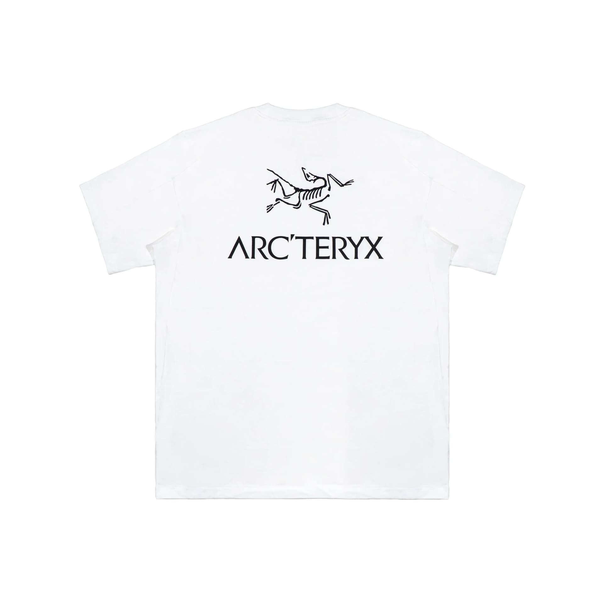 Arcteryx KRAGG TShirts White Light (Runs Large, Recommend Ordering One Size Down) Crew Neck Thin