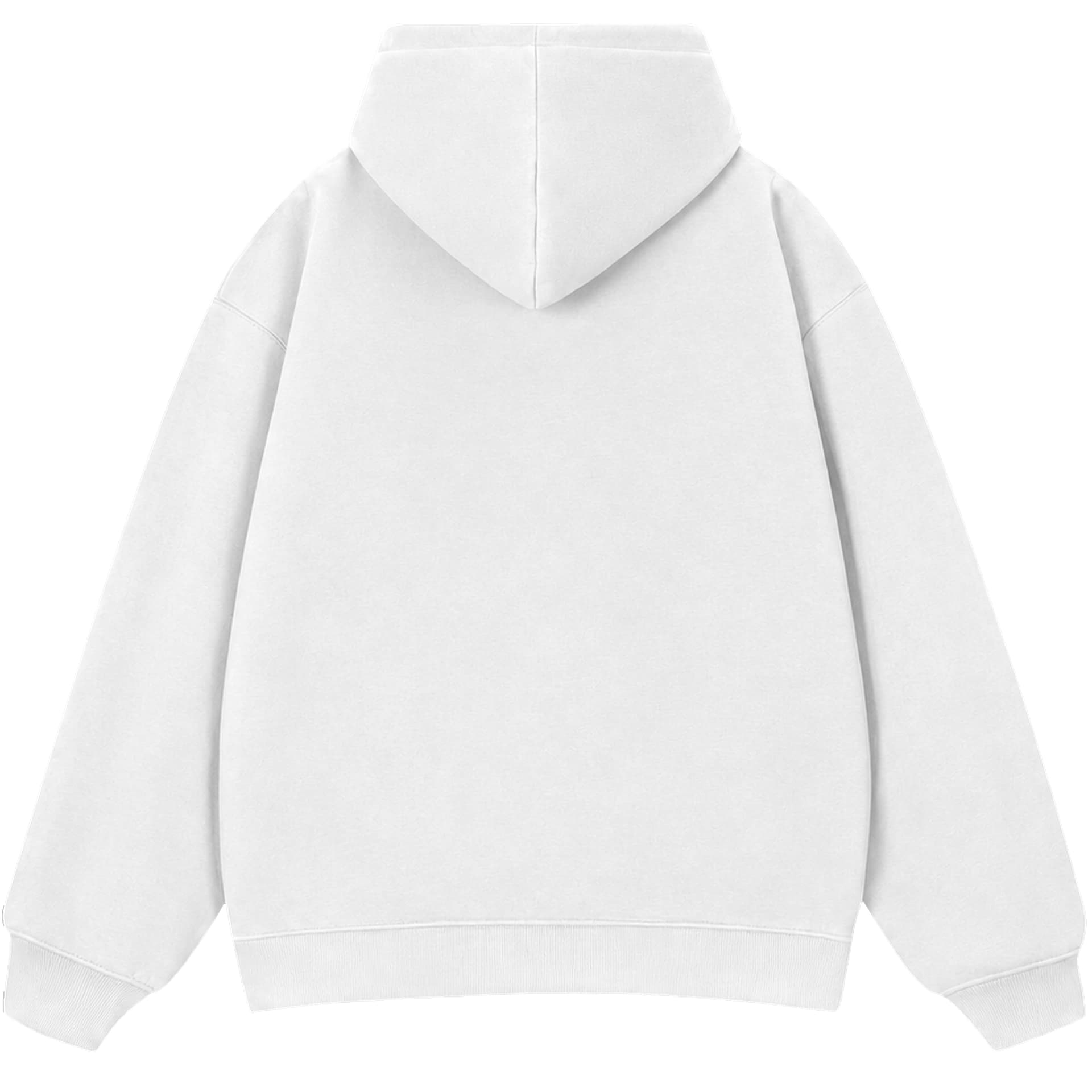 Dickies Sweatshirts Hooded (Nondetachable) Moderate Straight Fit
