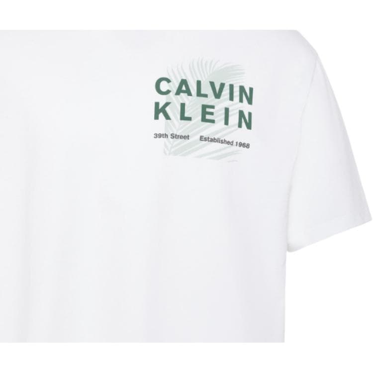 Calvin Klein TShirts Bright White Crew Neck Moderate Straight Fit