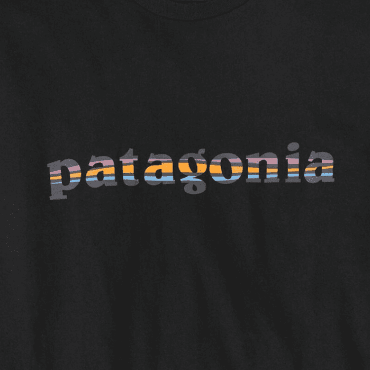 Patagonia Responsibili Tee T Shirt