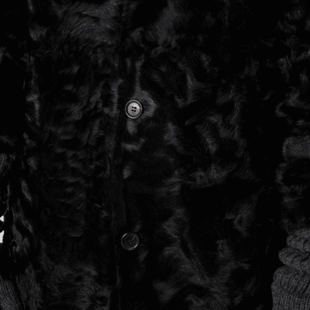 MIU MIU Furs Black Lapel Moderate