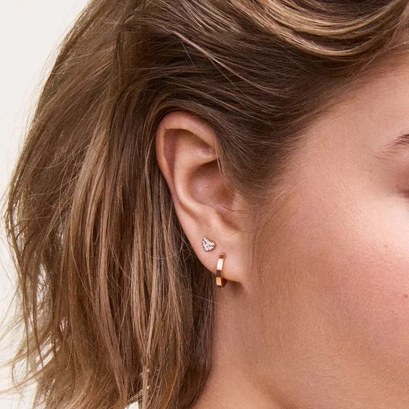 Daniel Wellington Zircon, Alloy Earrings