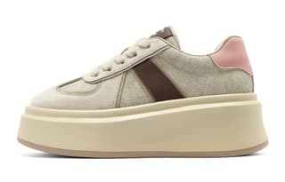 C°BANNER Apricot Brown