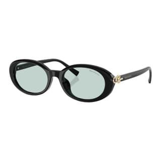 TIFFANY & CO. Acetate Ester Oval Sunglasses Black