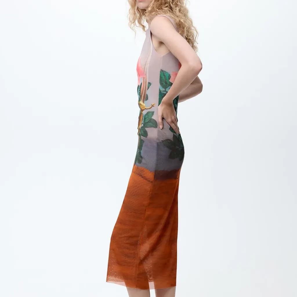 ZARA x YISHUJIA,LIANMINGKUAN Dress Print