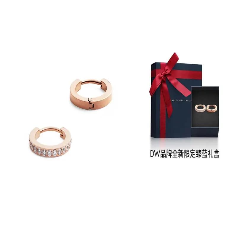 Daniel Wellington Zircon, Alloy Earrings Rose Gold