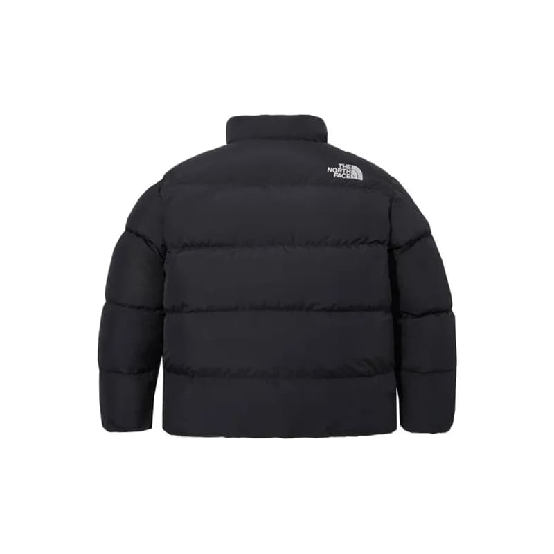 THE NORTH FACE Down Jackets & Men Black Includes Shopping Bag