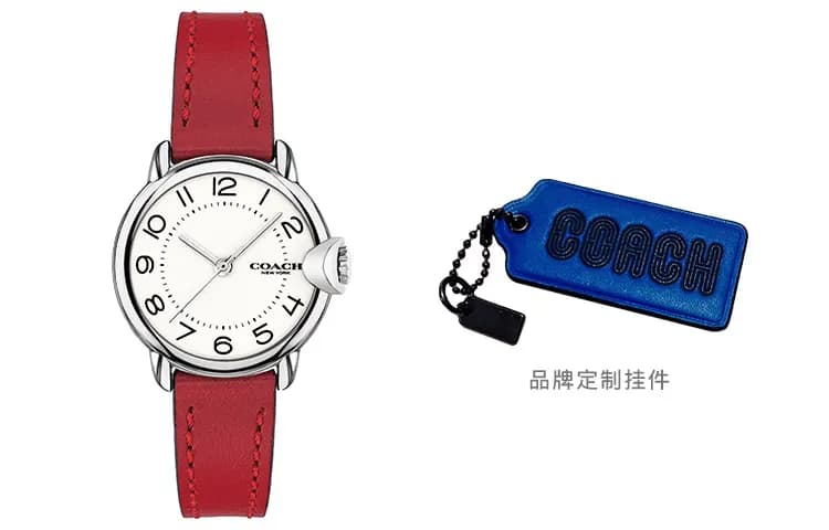 COACH ARDEN Collection Wrist Watch Quartz Movement Strap White Dial Watch 14503618