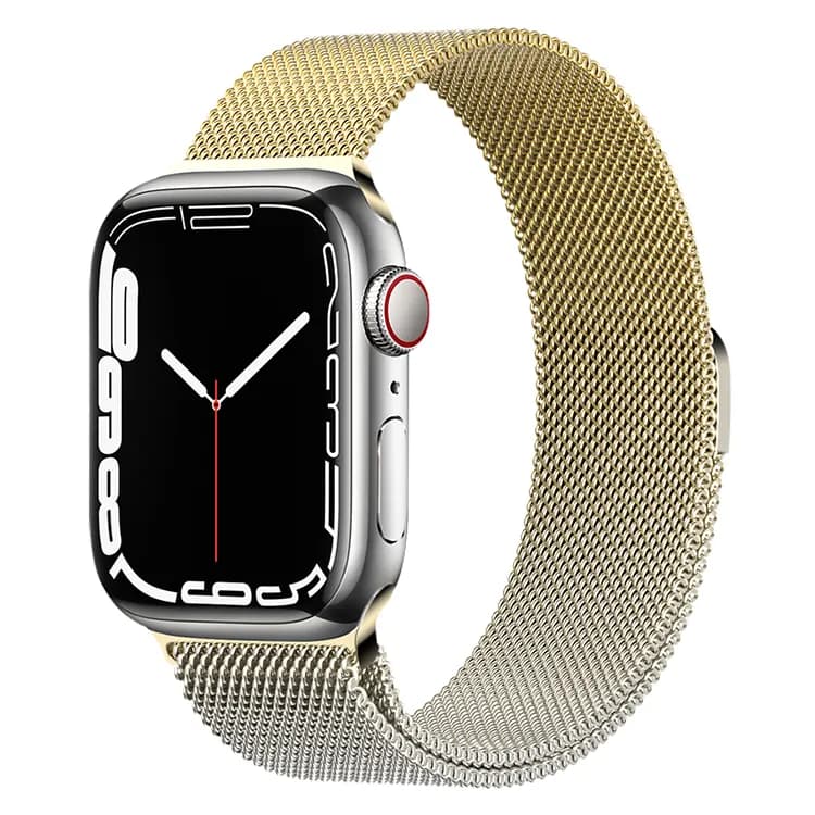 BIAZE Watch Bands BD2742/44/45/49mmGold silver