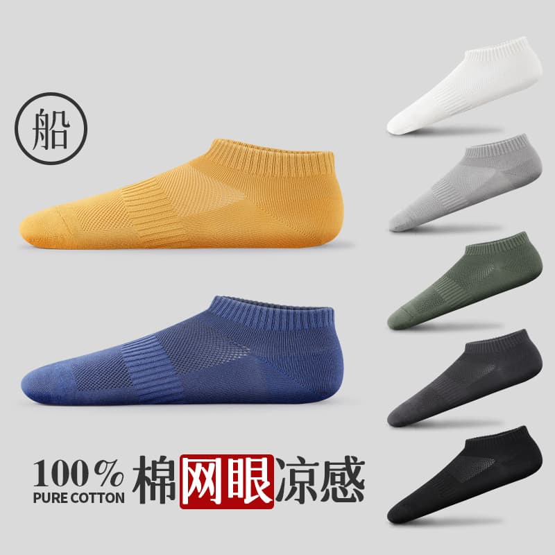 Warrior Ankle Box 5Pack